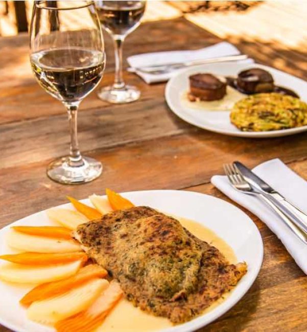 pousda araras gastronomia (15)