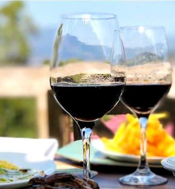 pousda araras gastronomia (21)